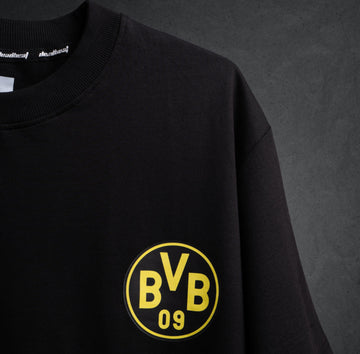 BVB 2024