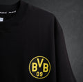 BVB 2024